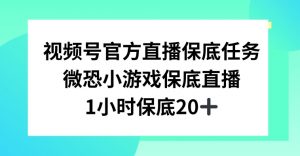 视频号直播任务，微恐小游戏，1小时20+【揭秘】-林文副业站