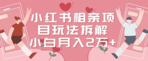 小红书相亲项目玩法拆解，有人通过这个副业项目做到了月收入2万多【揭秘】-林文副业站