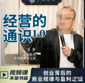 马导·经营的通识,创业背后的商业规律与财富逻辑-林文副业站