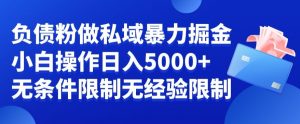 负债粉私域暴力掘金，小白操作入5000，无经验限制，无条件限制【揭秘】-林文副业站