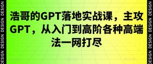 浩哥的GPT落地实战课，主攻GPT，从入门到高阶各种高端法一网打尽-林文副业站