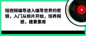 短视频编导进入编导世界的密钥,入门从拆片开始,培养网感,建素素库-林文副业站