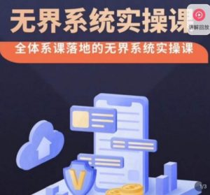 老衲·无界系统实操课,全体系落地无界改版后选择、出价、高投产做付费引流-林文副业站