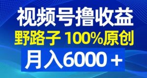 视频号野路子撸收益，100%原创，条条爆款，月入6000＋【揭秘】-林文副业站