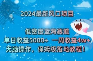 2024最新风口项目,低密度蓝海赛道,单日收益5000+,一周收益4w+!【揭秘】-林文副业站