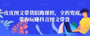 皮皮图文带货陪跑课程,全程兜底,带你玩赚抖音图文带货-林文副业站