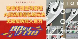 被动引流蓝海赛道，AJ运动用品私域玩法，无限复购年入百万【揭秘】-林文副业站