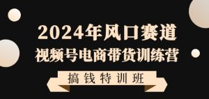 2024年风口赛道视频号电商带货训练营搞钱特训班，带领大家快速入局自媒体电商带货-林文副业站