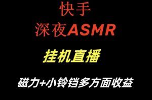 快手深夜ASMR挂机直播，磁力+小铃铛收益（附带工具和5G素材）【揭秘】-林文副业站