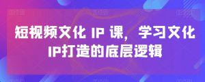 短视频文化IP课，学习文化IP打造的底层逻辑-林文副业站