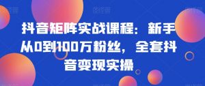 抖音矩阵实战课程：新手从0到100万粉丝，全套抖音变现实操-林文副业站
