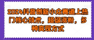 2024抖音创新小众赛道上热门核心技术，超级涨粉，多种变现方式【揭秘】-林文副业站