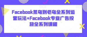 Facebook菜鸟到老鸟全系列运营玩法+Facebook专业广告投放全系列课程-林文副业站