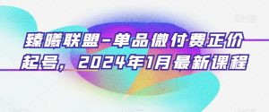 臻曦联盟-单品微付费正价起号，2024年1月最新课程-林文副业站