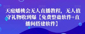 天庭蟠桃会无人直播教程，无人值守礼物收到爆【免费整蛊软件+直播间搭建软件】-林文副业站