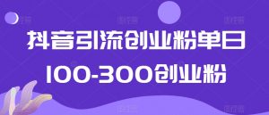 抖音引流创业粉单日100-300创业粉【揭秘】-林文副业站