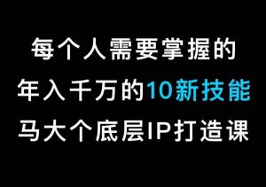 马大个的IP底层逻辑课,每个人需要掌握的年入千万的10新技能,约会底层IP打造方法!-林文副业站