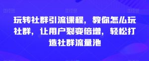 玩转社群引流课程，教你怎么玩社群，让用户裂变倍增，轻松打造社群流量池-林文副业站