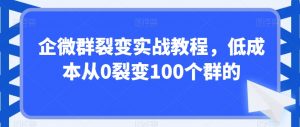 企微群裂变实战教程,低成本从0裂变100个群的-林文副业站