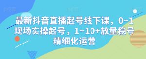 最新抖音直播起号线下课,0~1现场实操起号,1~10+放量稳号精细化运营-林文副业站
