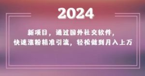 2024新项目，通过国外社交软件，快速涨粉精准引流，轻松做到月入上万【揭秘】-林文副业站