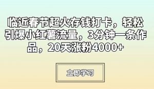 临近春节超火存钱打卡,轻松引爆小红薯流量,3分钟一条作品,20天涨粉4000+【揭秘】-林文副业站