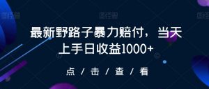 最新野路子暴力赔付，当天上手日收益1000+【仅揭秘】-林文副业站