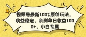 视频号最新100%原创玩法，收益稳定，亲测单日收益1000+，小白专属【揭秘】-林文副业站