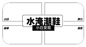 2024全新冷门水淹潮鞋无人直播玩法，小白也能轻松上手，打爆私域流量，轻松实现变现【揭秘】-林文副业站