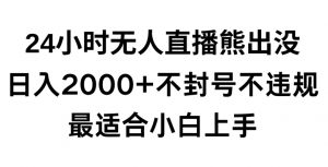 快手24小时无人直播熊出没，不封直播间，不违规，日入2000+，最适合小白上手，保姆式教学【揭秘】-林文副业站
