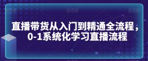 直播带货从入门到精通全流程,0-1系统化学习直播流程-林文副业站