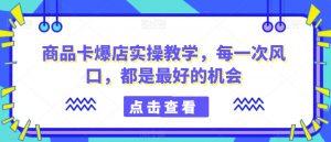 商品卡爆店实操教学,每一次风口,都是最好的机会-林文副业站
