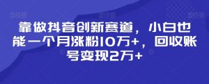 靠做抖音创新赛道,小白也能一个月涨粉10万+,回收账号变现2万+【揭秘】-林文副业站