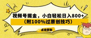 视频号掘金，小白轻松日入800+（附100%过原创技巧）【揭秘】-林文副业站