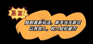 短剧最新玩法，新手当天就可以有收入，收入轻松破万【揭秘】-林文副业站