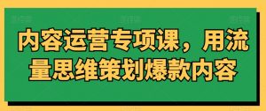 内容运营专项课，用流量思维策划爆款内容-林文副业站