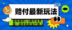 超级维权2.0全新玩法，2024赔付全思路职业打假一部手机搞定【仅揭秘】-林文副业站