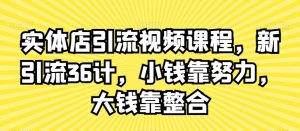 实体店引流视频课程,新引流36计,小钱靠努力,大钱靠整合-林文副业站