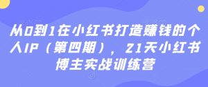 从0到1在小红书打造赚钱的个人IP（第四期），21天小红书博主实战训练营-林文副业站