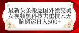 最新头条搬运国外漂亮美女视频黑科技去重技术无脑搬运日入500+【揭秘】-林文副业站
