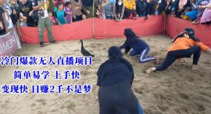 冷门爆款无人直播项目，简单易学上手快，变现快日赚2千不是梦【揭秘】-林文副业站