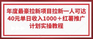 年度最豪拉新项目拉新一人可达40元单日收入1000＋红薯推广计划实操教程【揭秘】-林文副业站