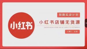安琪-小红书店铺无货源实战，开店到售后全流程操作-林文副业站