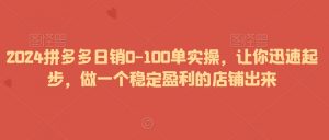 2024拼多多日销0-100单实操，让你迅速起步，做一个稳定盈利的店铺出来-林文副业站