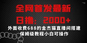 全网首发最新，日撸2000+，外面收费688的金杰猫直播间搭建，保姆级教程小白可操作【揭秘】-林文副业站