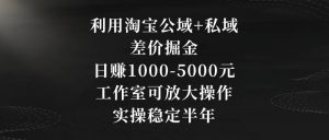 利用淘宝公域+私域差价掘金，日赚1000-5000元，工作室可放大操作，实操稳定半年【揭秘】-林文副业站