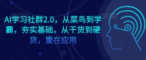 AI学习社群2.0,从菜鸟到学霸,夯实基础,从干货到硬货,重在应用-林文副业站