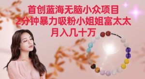 首创蓝海无脑小众项目，2分钟暴力吸粉小姐姐富太太，月入几十万【揭秘】-林文副业站