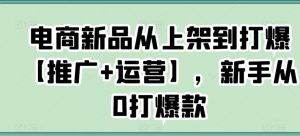 电商新品从上架到打爆【推广+运营】,新手从0打爆款-林文副业站