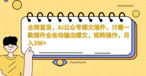 全网首发，AI公众号爆文插件，只需一款插件全自动输出爆文，矩阵操作，月入3W+【揭秘】-林文副业站